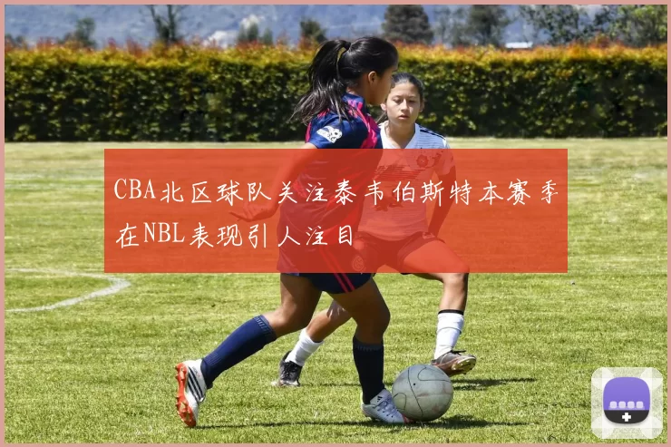 CBA北区球队关注泰韦伯斯特本赛季在NBL表现引人注目